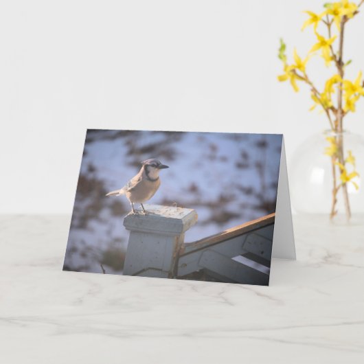 Blue Jay Kaart (Gele Bloem)