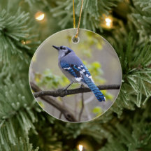 Blue Jay | Keramisch Ornament