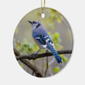 Blue Jay | Keramisch Ornament (Links)
