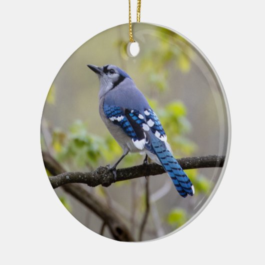 Blue Jay | Keramisch Ornament (Links)