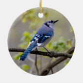 Blue Jay | Keramisch Ornament (Achterkant)