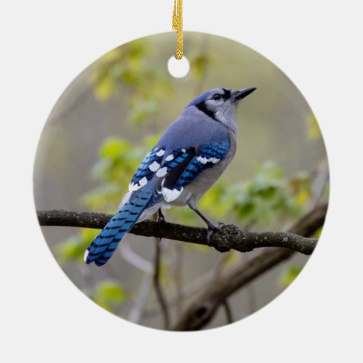 Blue Jay | Keramisch Ornament (Achterkant)