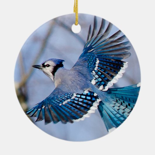 Blue Jay Kerstversiering Keramisch Ornament (Achterkant)