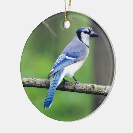 Blue Jay Kerstversiering Keramisch Ornament (Links)