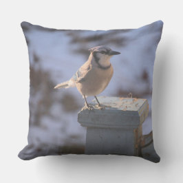 Blue Jay Kussen