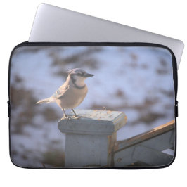 Blue Jay Laptop Sleeve