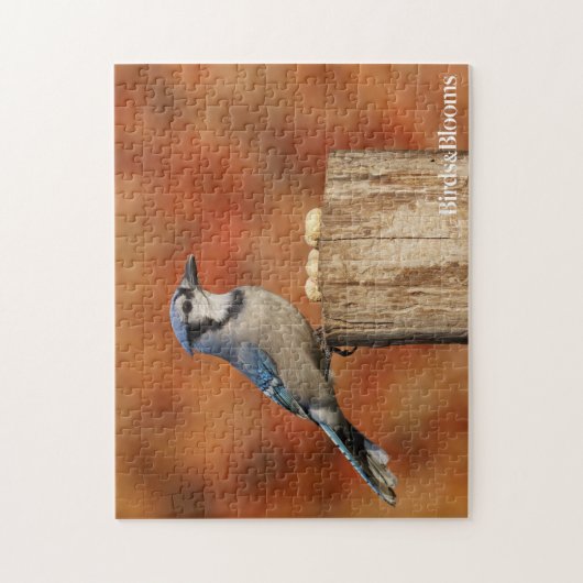 Blue Jay Legpuzzel (Verticaal)