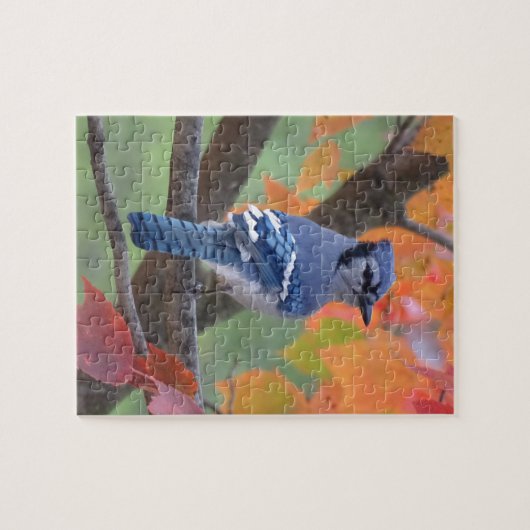 Blue Jay Legpuzzel (Horizontaal)