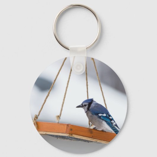 Blue Jay Lunch Sleutelhanger (Voorkant)