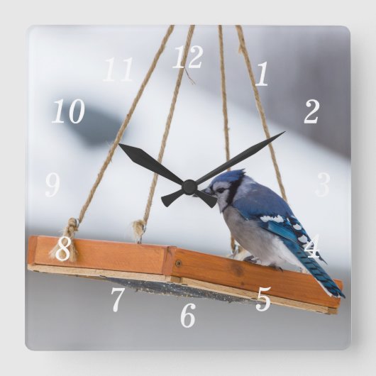 Blue Jay Lunch wandklok (Voorkant)