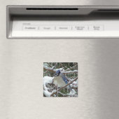 Blue Jay Magneet (Insitu (Vaatwasser))