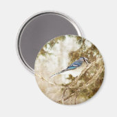 Blue Jay Magneet (Voorkant / Achterkant)