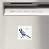 Blue Jay Magneet (Insitu (Vaatwasser))