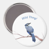 Blue Jay Magneet (Voorkant / Achterkant)