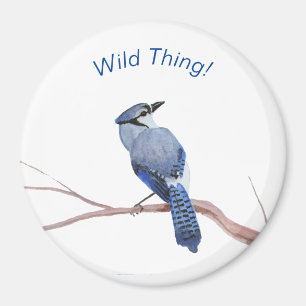 Blue Jay Magneet