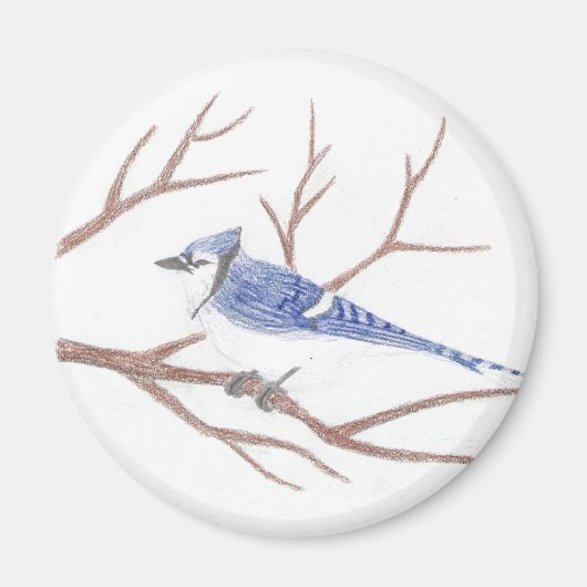 Blue Jay Magnet (Voorkant)