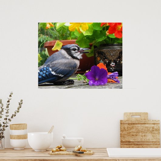 Blue Jay met Flowers Poster (Keuken)