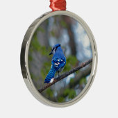 Blue Jay Metalen Ornament (Rechts)