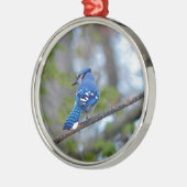 Blue Jay Metalen Ornament (Links)