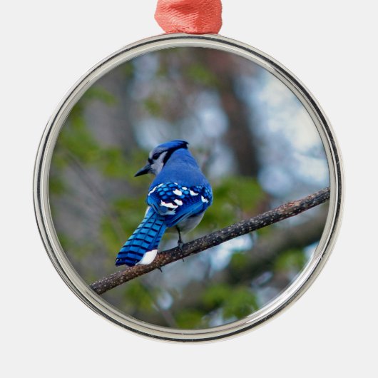 Blue Jay Metalen Ornament (Voorkant)