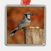 Blue Jay Metalen Ornament (Voorkant)