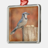 Blue Jay Metalen Ornament (Links)