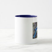 Blue Jay Mok (Midden)