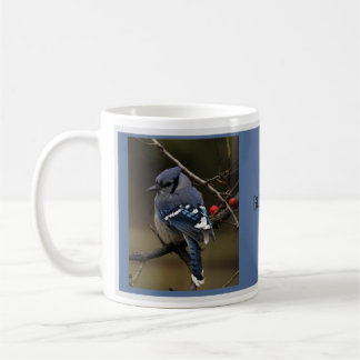 Blue Jay Mok