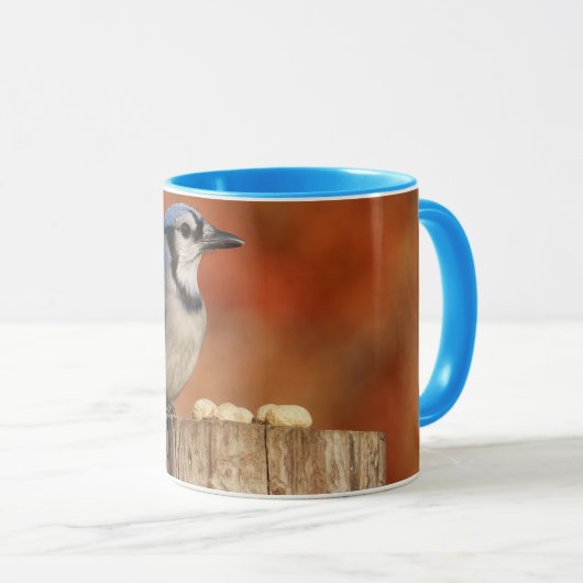 Blue Jay Mok (Voorkant rechts)