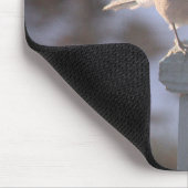 Blue Jay Muismat (Hoek)