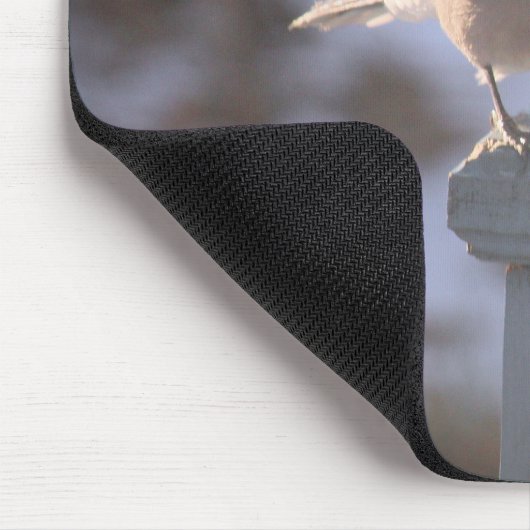 Blue Jay Muismat (Hoek)