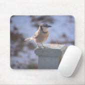 Blue Jay Muismat (Met muis)