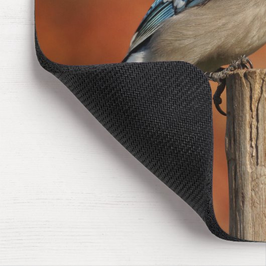 Blue Jay Muismat (Hoek)