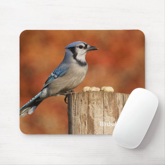 Blue Jay Muismat (Met muis)