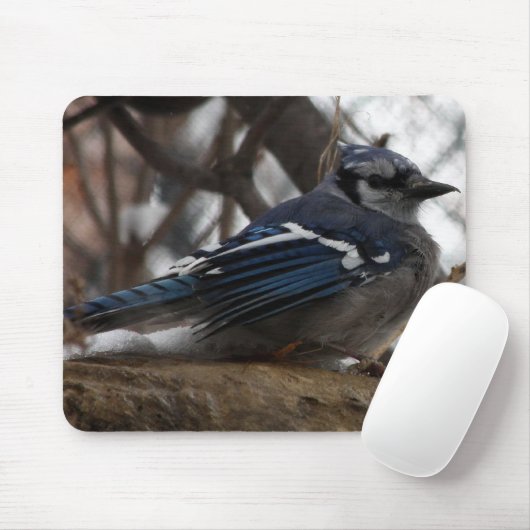 Blue Jay Muismat (Met muis)