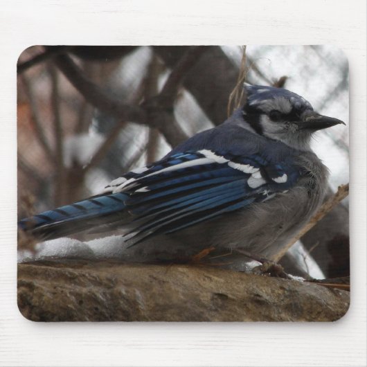 Blue Jay Muismat (Voorkant)