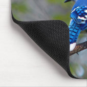 Blue Jay Muismat (Hoek)