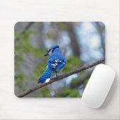 Blue Jay Muismat (Met muis)