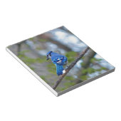 Blue Jay Notitieblok (Schuin)