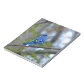 Blue Jay Notitieblok (Linkerzijde)