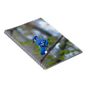 Blue Jay Notitieboek (Rechterzijde)