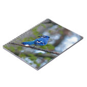 Blue Jay Notitieboek (Linkerzijde)