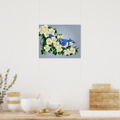 Blue Jay onder Dogwood Flower Poster (Keuken)