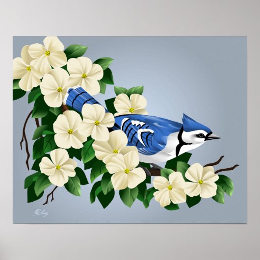 Blue Jay onder Dogwood Flower Poster (Voorkant)
