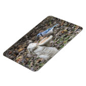 Blue Jay op Cute Rabbit Bird Feeder Magneet (Linkerzijde)
