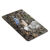 Blue Jay op Cute Rabbit Bird Feeder Magneet (Rechterzijde)