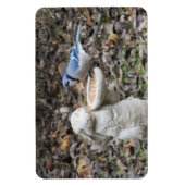 Blue Jay op Cute Rabbit Bird Feeder Magneet (Verticaal)
