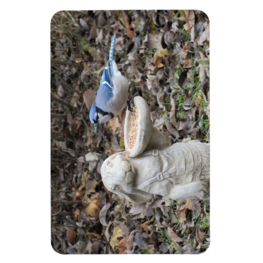 Blue Jay op Cute Rabbit Bird Feeder Magneet (Verticaal)
