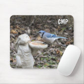 Blue Jay op Cute Rabbit Bird Feeder Muismat (Met muis)