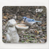 Blue Jay op Cute Rabbit Bird Feeder Muismat (Voorkant)